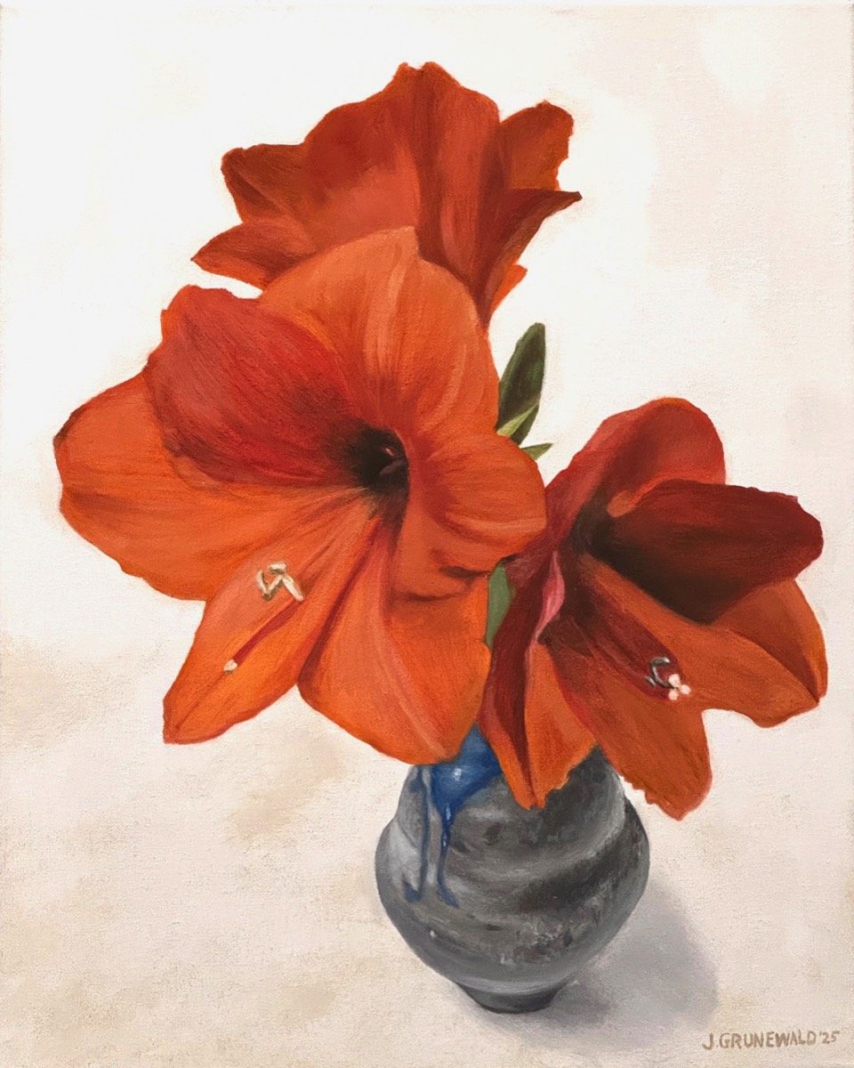 Orange Amaryllis | Oil on canvas 16x20